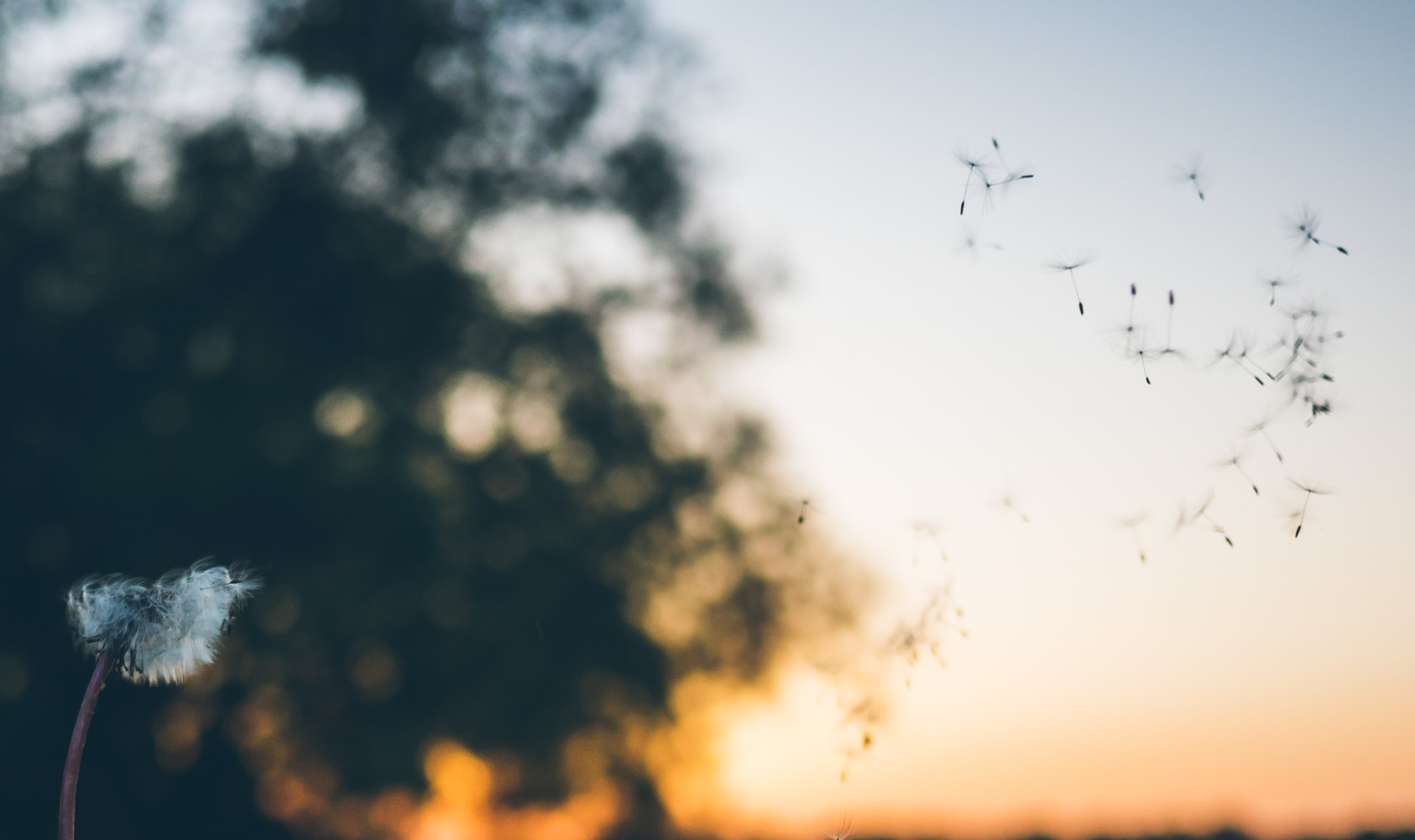An Air Purifier Can Help You - Parents Canada