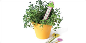 Herb Garden Markers - Parents Canada