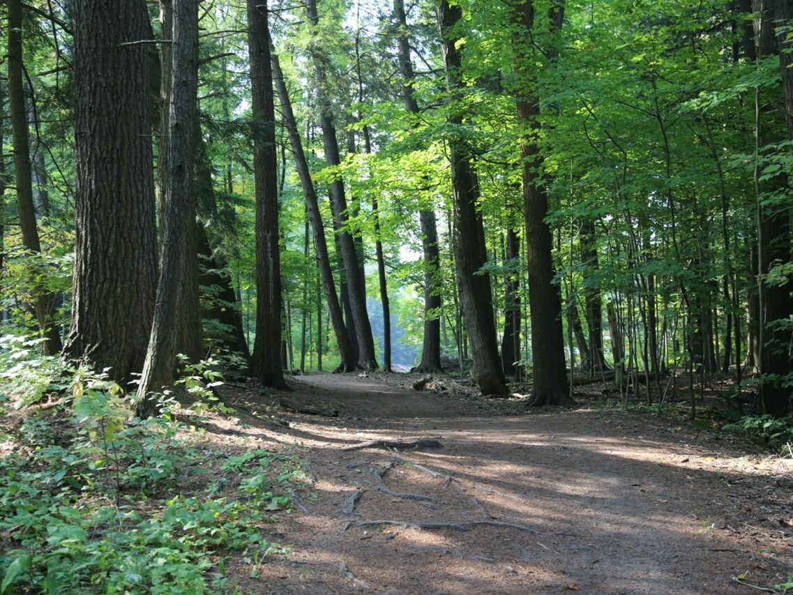 trail Large