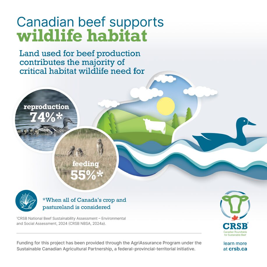 Canadian Beef supports wildlife habitat
