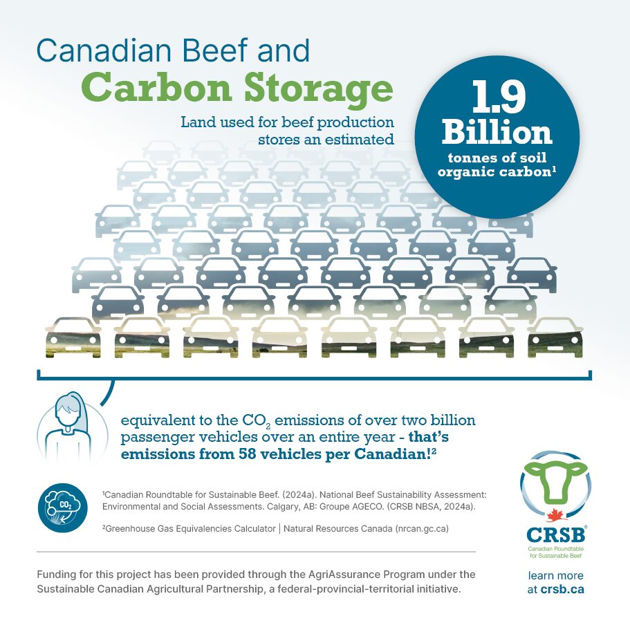 Canadian beef and Carbon Storage